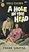 A Hole In The Head