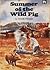 Summer Of The Wild Pig (Pioneer Family Adventures #1)