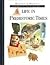 Life in prehistoric times
