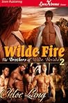 Wilde Fire (The Brothers of Wilde, Nevada #2)