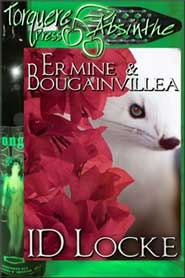Ermine & Bougainvillea
