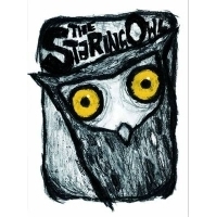 The Staring Owl