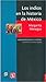 Los indios en la historia de México. Siglos XVI al XIX: balance y perspectivas (Spanish Edition)
