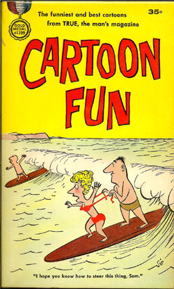 Cartoon Fun (Paperback)