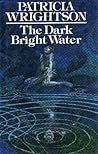 The Dark Bright W...