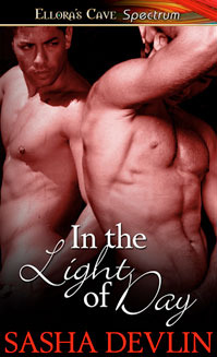 In The Light Of Day (Kindle Edition)