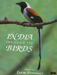 India Through Its Birds