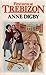 First Term at Trebizon by Anne Digby