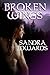Broken Wings (Soul Searchers, #1)