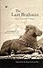 The Last Brahmin by Rani Siva Sankara Sarma