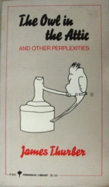 The Owl in the Attic and Other Perplexities (Paperback)