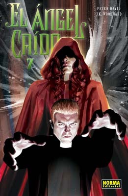 El Ángel Caído #7 (Paperback)