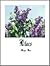 Lilacs