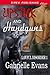 Lipstick and Handguns (Lawful Disorder #1)