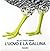 L'uovo e la gallina