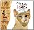 My Cat Isis