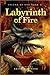 Labyrinth of Fire (Island of Fog, #2)