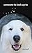 Someone to Look Up to by Jean Gill