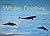 The World of Whales, Dolphi...