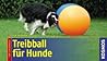 Treibball für Hunde