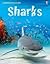 Sharks (Usborne Discovery)
