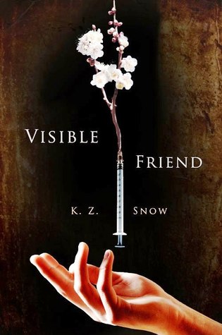 Visible Friend (Kindle Edition)