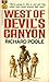 West Of Devil's Canyon by Richard  Poole