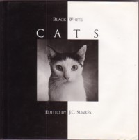 Black & White Cats