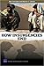 How Insurgencies End