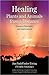 Healing Plants and Animals from a Distance: Curative Principles and Applications