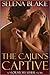 The Cajun's Captive (Stormy Weather #1)