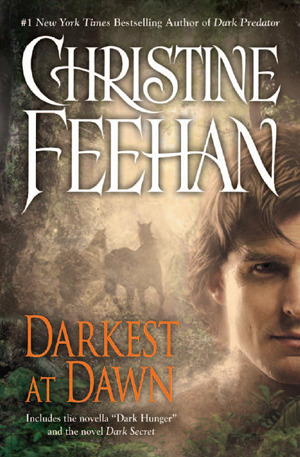 Darkest at Dawn (Dark, #11.5-12)