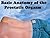 Basic Anatomy of the Prostatic Orgasm by Adam Trodd