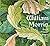 William Morris: Artist, Craftsman, Pioneer
