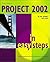 Project 2002 in Easy Steps