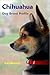 Chihuahua Dog Breed Profile