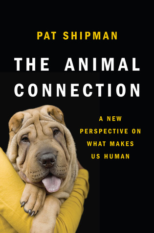 The Animal Connection: A New Perspective on What Makes Us Human (Hardcover)