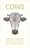 Cows by Matthew Stokoe Cows by Matthew Stokoe