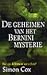 De geheimen van het Bernini mysterie