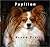 Papillon Dog Breed Profile