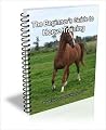 The Beginners Guide to Horse Training The Beginners Guide to Horse Training