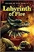 Labyrinth of Fire (Island of Fog, #2)