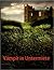 Vampir in Untermiete (German Edition)