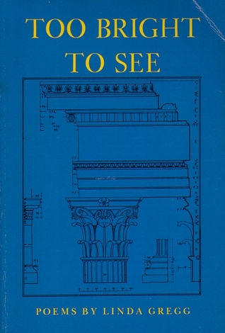 Too Bright to See (Paperback)