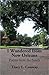I Wandered from New Orleans: Poems from the South