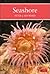 Seashore (New Naturalist, #94)