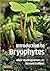 Introduction to Bryophytes