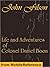 Life and Adventures of Colonel Daniel Boon. CONTAINING A NARRATIVE OF THE WARS OF KENTUCKE. From The Discovery and Settlement of Kentucke