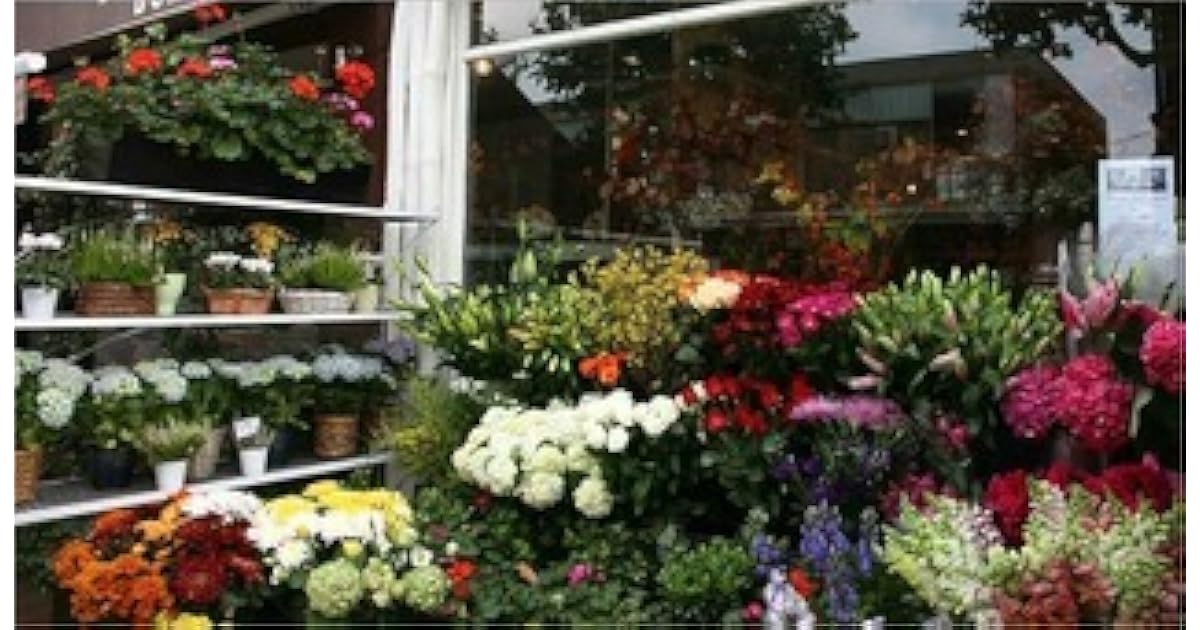 Florist Flower Shop Start Up Sample Business Plan By Bplan Xchange One beauty about this kind of business is that you could decide to specialize in either artificial flowers or natural flowers. goodreads