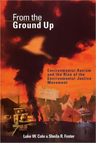 From The Ground Up Environmental Racism And The Rise Of The Environmental Justice Movement By Luke Cole